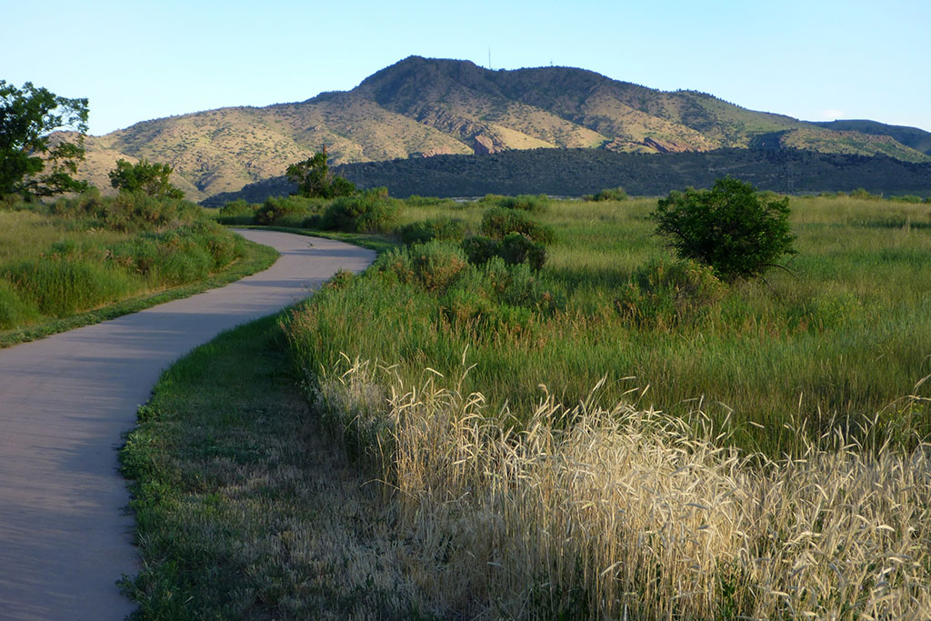 5 Family-Friendly Bike Paths in Lakewood